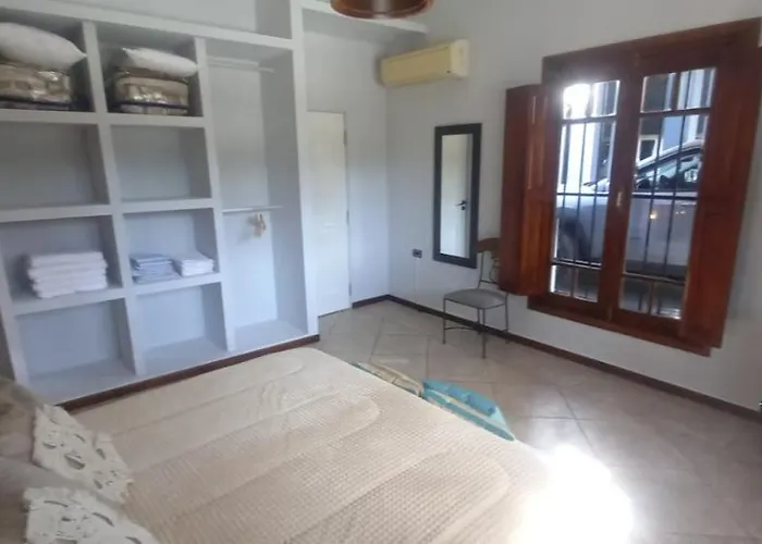 Aguara Iba
